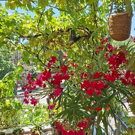 Διαμέρισμα 2-bedroom Flat - Sunny Balcony