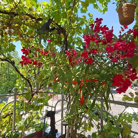 Apartamento Sunny Balcony 2br Center *