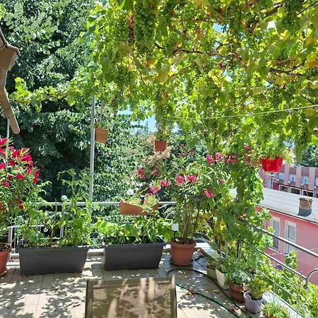 Sunny Balcony 2br Center Daire Filibe
