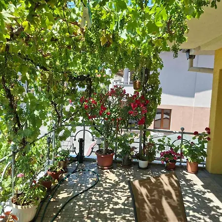 Daire Sunny Balcony 2br Center *