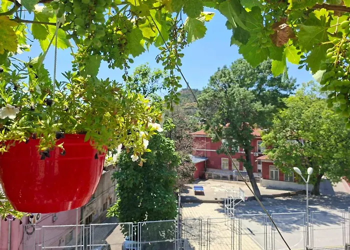 Sunny Balcony 2Br Apartment Top Center 公寓