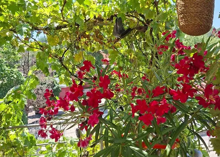 דירה Sunny Balcony 2br Center