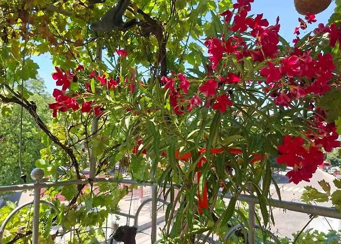 דירה Sunny Balcony 2br Center *