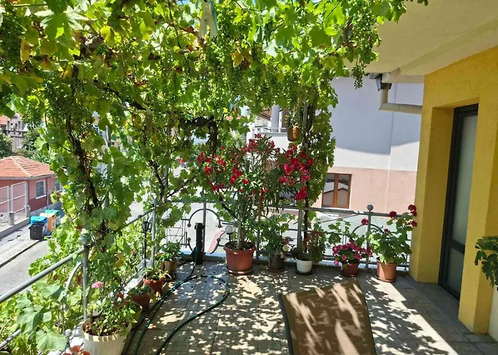 公寓 Sunny Balcony 2Br Apartment Top Center *